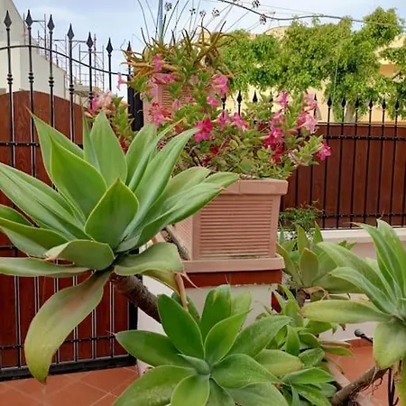 Casa Lea شقة *