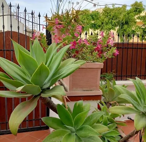 Casa Lea Appartamento *